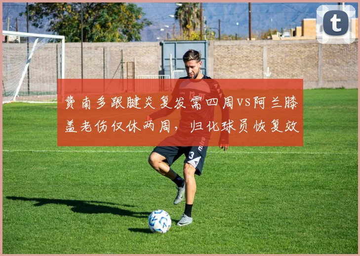 费南多跟腱炎复发需四周vs阿兰膝盖老伤仅休两周，归化球员恢复效率反差明显